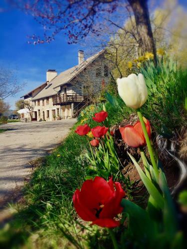 Hostal Chambre D'h�tes La Grange Des Ecrins