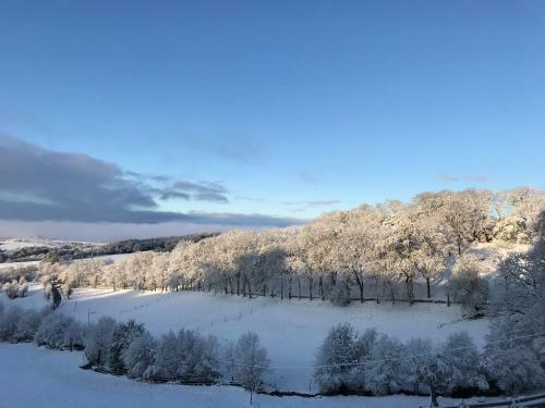 Bed & Breakfast Ch�teau Du Puech