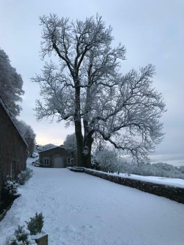 Bed & Breakfast Ch�teau Du Puech