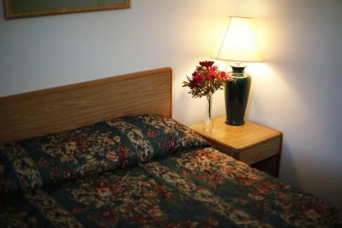 Travelier Motel - Macon