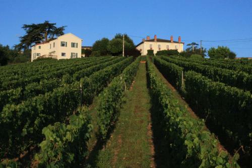 Bed & Breakfast Domaine Du Fontenay
