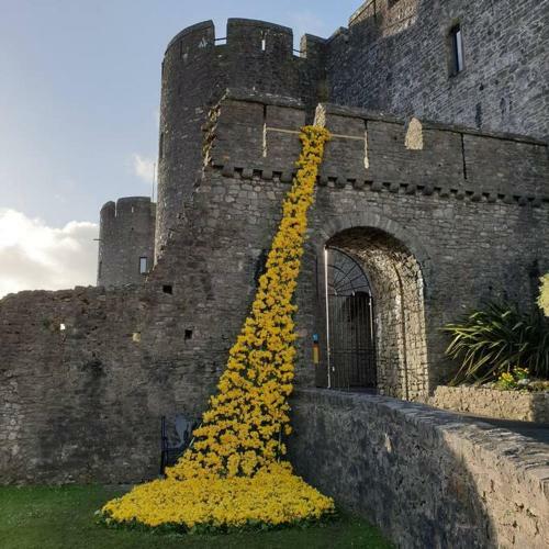 Cromwell Cottage, Pembroke