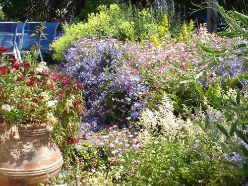Hostal Rosedene Guest House