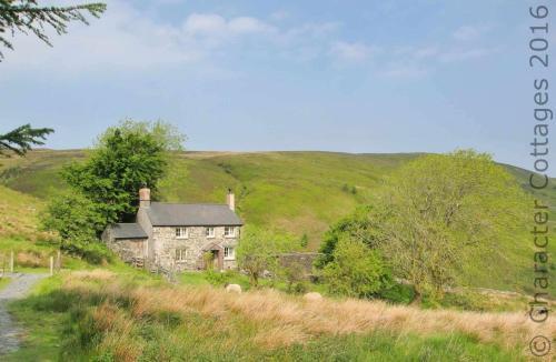 Hafod Y Rhedrwydd