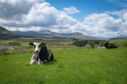 Cross Fell