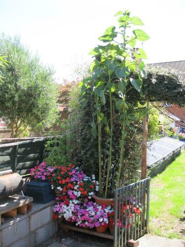 Perfect For Petersfield B&B