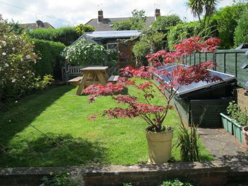 Perfect For Petersfield B&B