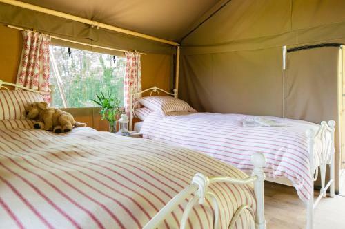 Brocklands Farm Glamping
