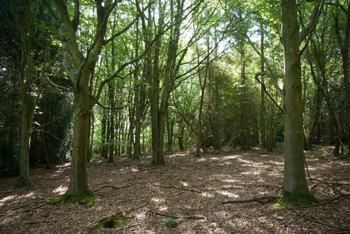 Brocklands Farm Glamping