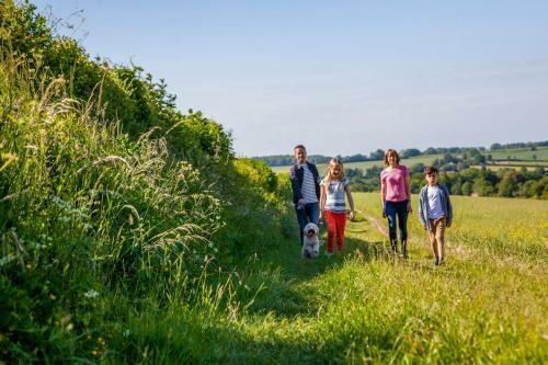 Brocklands Farm Glamping