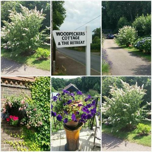 Woodpeckers Cottage B&B