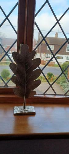 Woodpeckers Cottage B&B