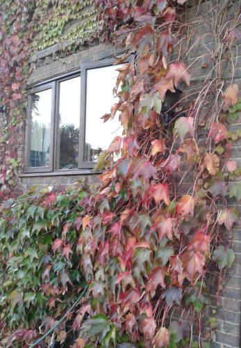 Woodpeckers Cottage B&B