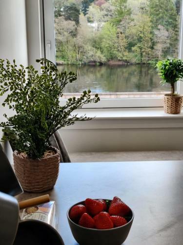 Stunning 2 Bedroom River View Apartment