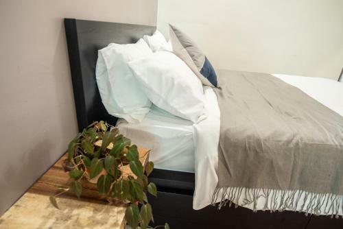 M12 Homestay