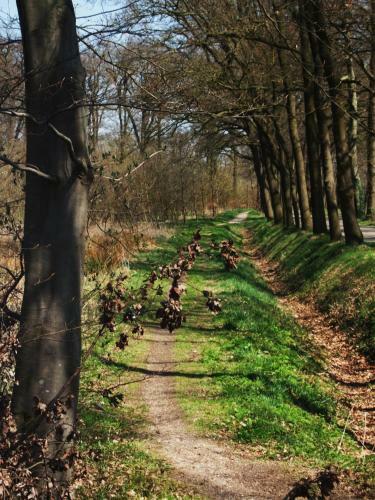 Bed & Breakfast Landgoed De Lavei