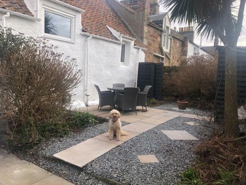 Beautiful Coastal Cottage In Pittenweem