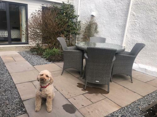 Beautiful Coastal Cottage In Pittenweem