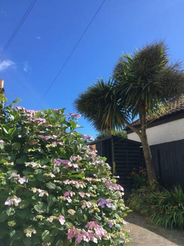 Beautiful Coastal Cottage In Pittenweem