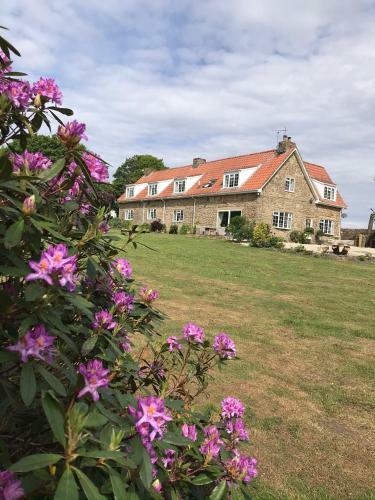 Bed & Breakfast Ticketyboo Suites