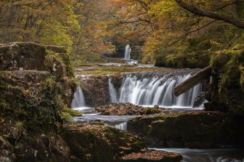 Waterfall Lodge