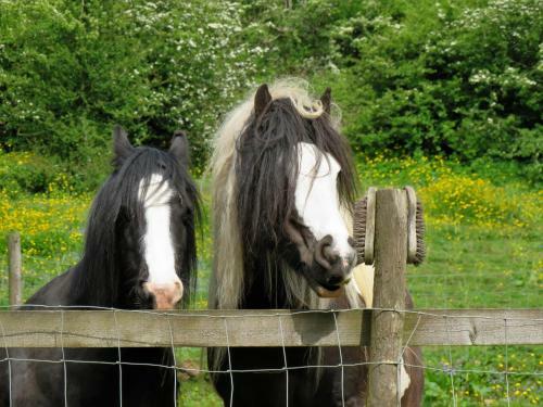 Taff Morlais Pair Of Shepherd's Huts Pontsticill Brecon Beacons