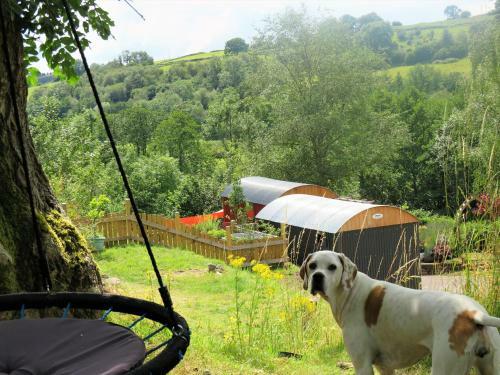 Taff Morlais Pair Of Shepherd's Huts Pontsticill Brecon Beacons
