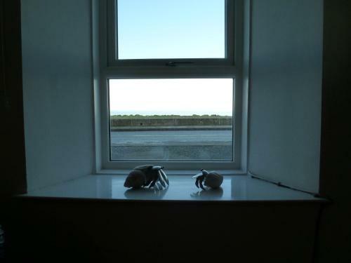 Poppys Cottage - A Charming Seafront Cottage
