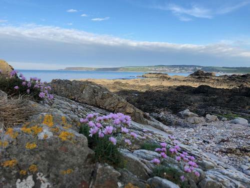 Ceol Na Mara