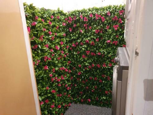 Apartamento Plymouth-vacation