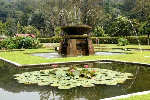 Apartamento The Whale House - 100m From Batu Ferringhi Beach
