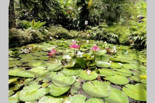 Apartamento The Whale House - 100m From Batu Ferringhi Beach