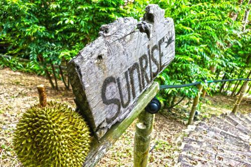 Bed & Breakfast Langit Rimba Resort