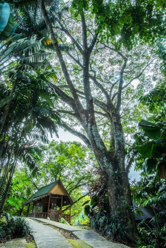 Villa The Dusun