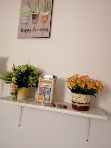 Hostal Fangfei Homestay ????