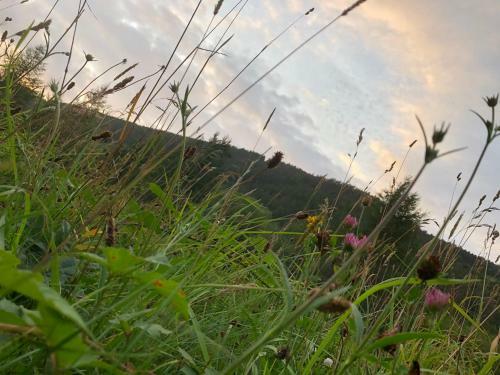 Apartamento The View By Afan Valley Escapes