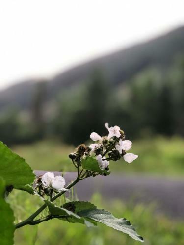 Norton Views By Afan Valley Escapes