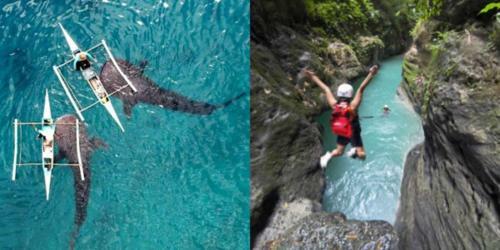 Hotel Pawikan Resort Moalboal