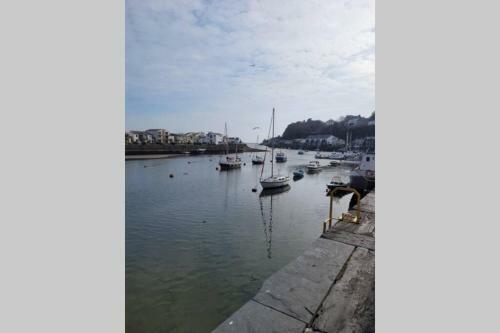 Porthmadog Harbour Town - High Street Apartment.