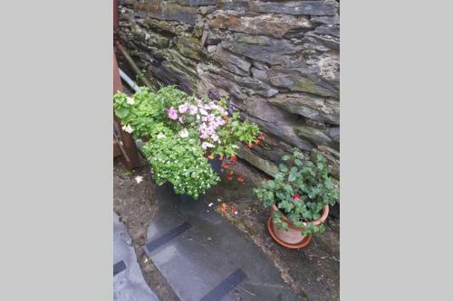 Porthmadog Harbour Town - High Street Apartment.