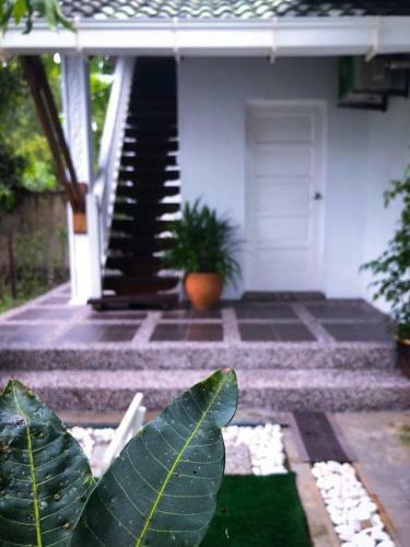 Limetree B&B