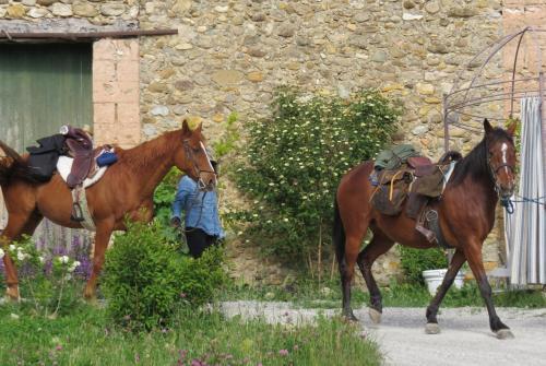 Bed & Breakfast Les G�tes D'eliane
