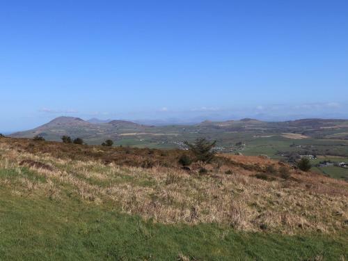Bryn Meillion