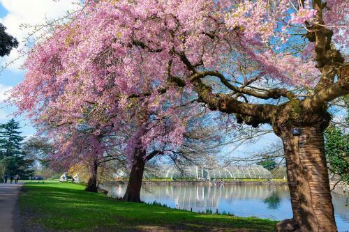 Apartamento Richmond Riverside