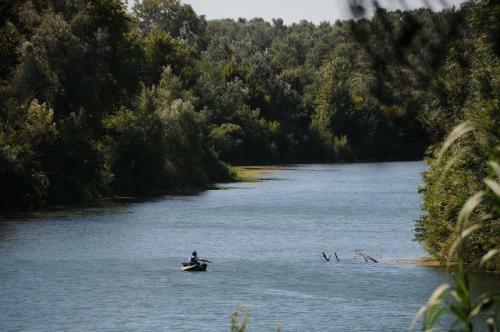 Camping Bellerive