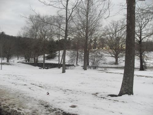 Hotel Jack O'lantern Resort & Golf Course