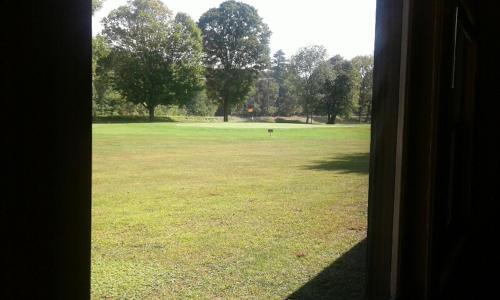 Hotel Jack O'lantern Resort & Golf Course