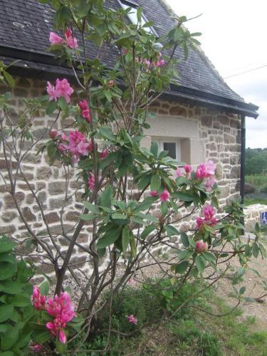 Hostal Les Chambres De La Marotte