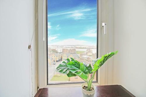Apartamento 33 New Road