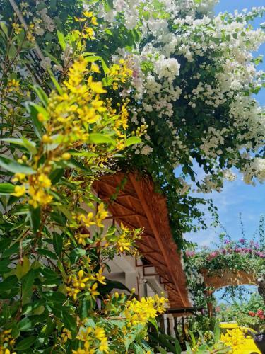Alisa Garden Boutique Hotel